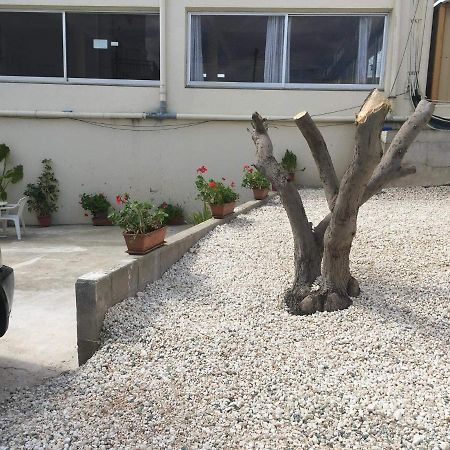 Ellenapa Apts & Studios Αγία Νάπα Εξωτερικό φωτογραφία