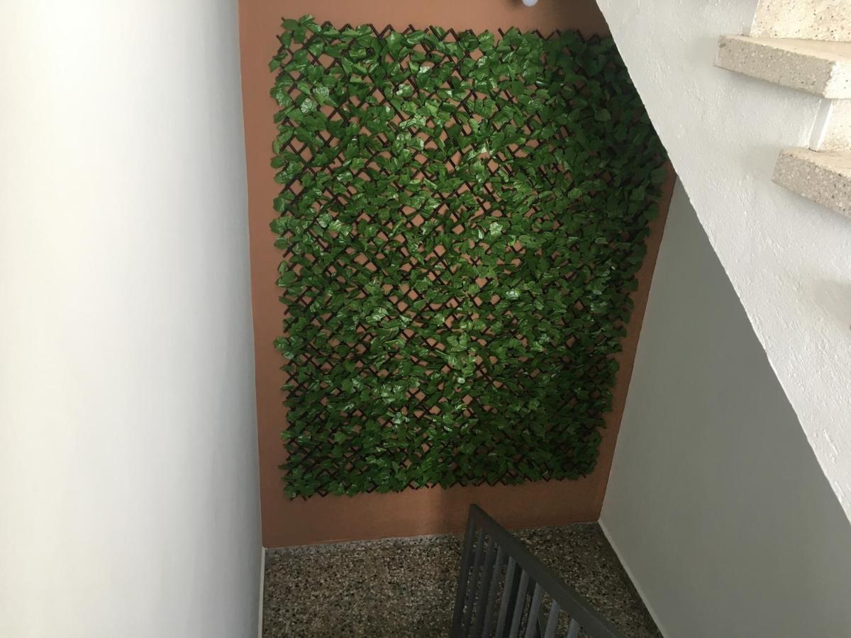 Ellenapa Apts & Studios Αγία Νάπα Εξωτερικό φωτογραφία