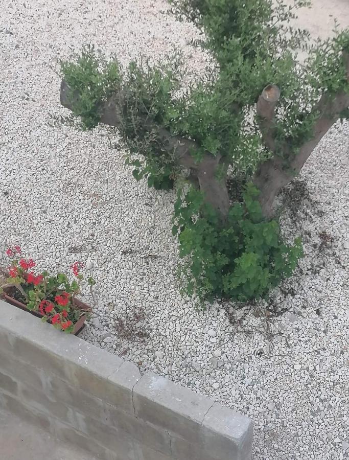 Ellenapa Apts & Studios Αγία Νάπα Εξωτερικό φωτογραφία