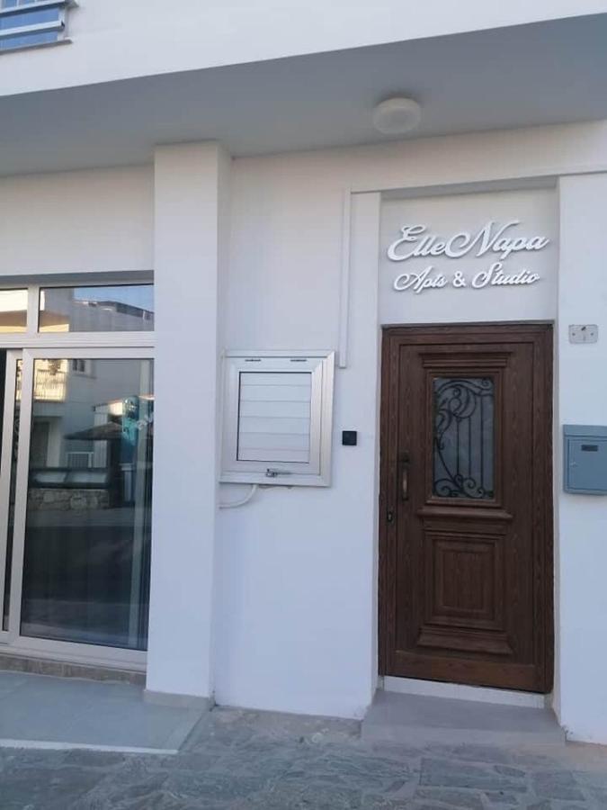 Ellenapa Apts & Studios Αγία Νάπα Εξωτερικό φωτογραφία